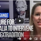 More on Julian Assange