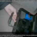 Animal Welfare — Lucky Sphinx